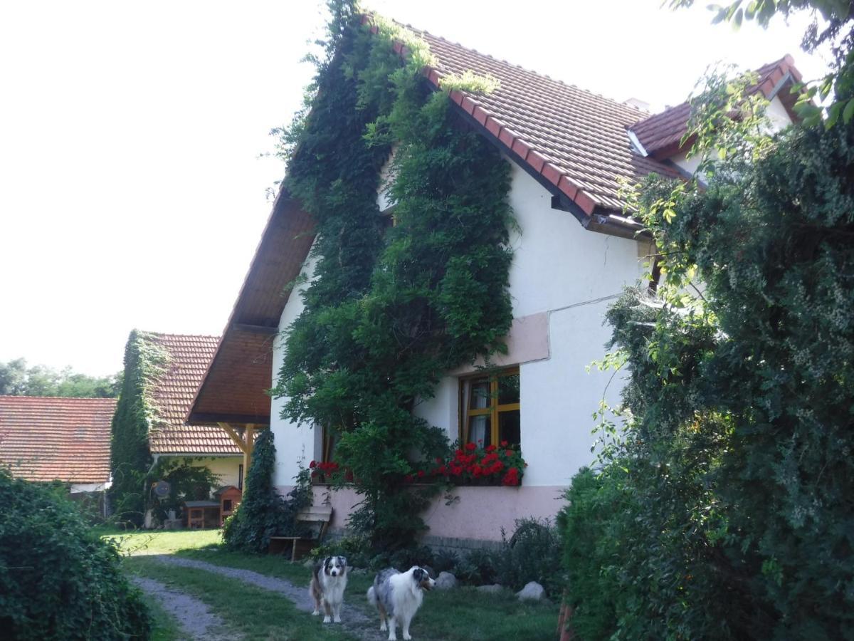 Pobyt na farme Farma Zahradnice Olbramovice (Benesov)
